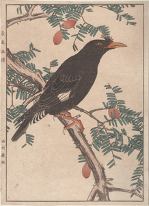 original Imao Keinen Japanese woodblock print birds and flowers 1885